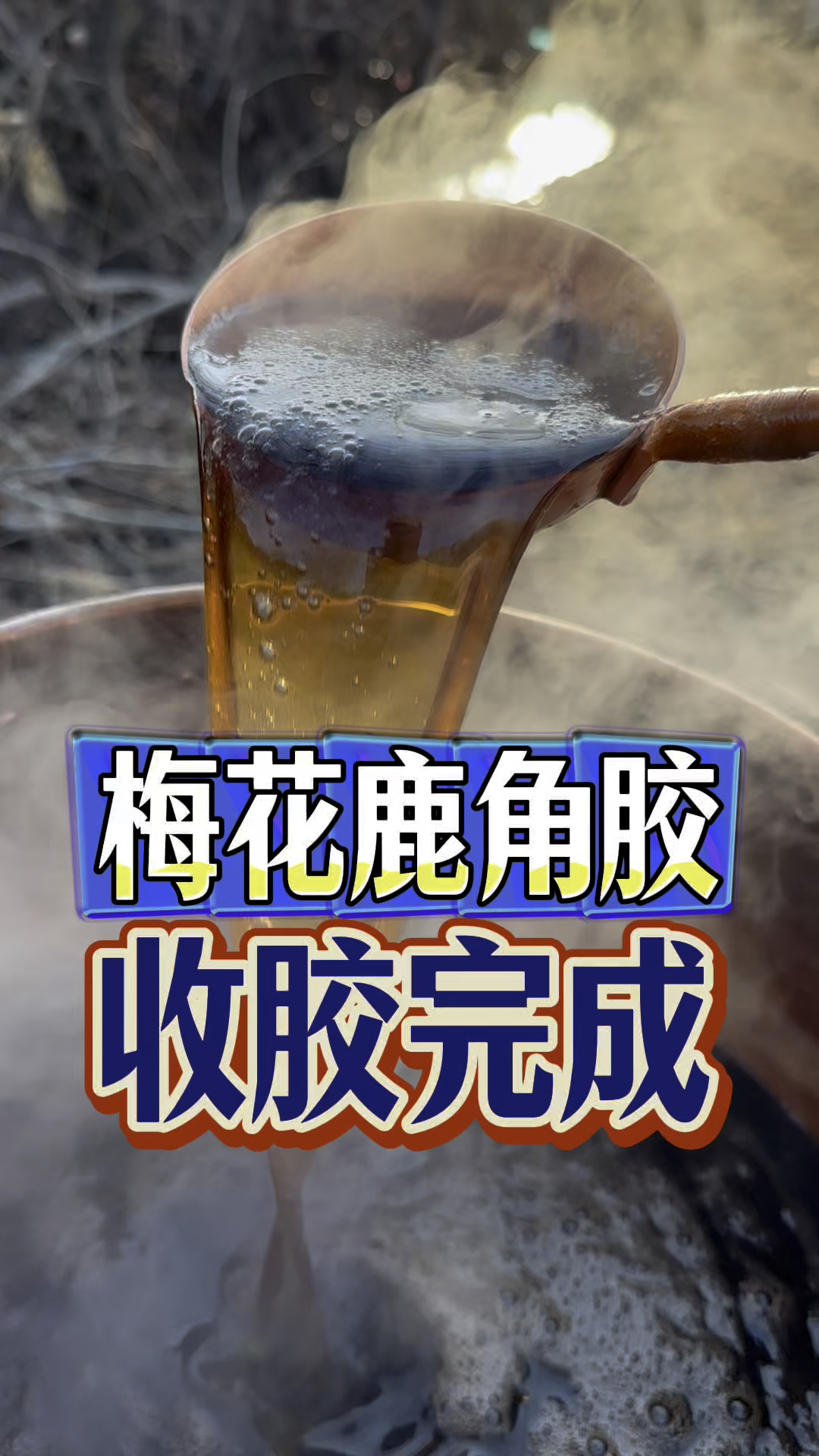 梅花鹿角胶终于熬制收胶完成#鹿角胶#制作过程 #中医药文化 #真相