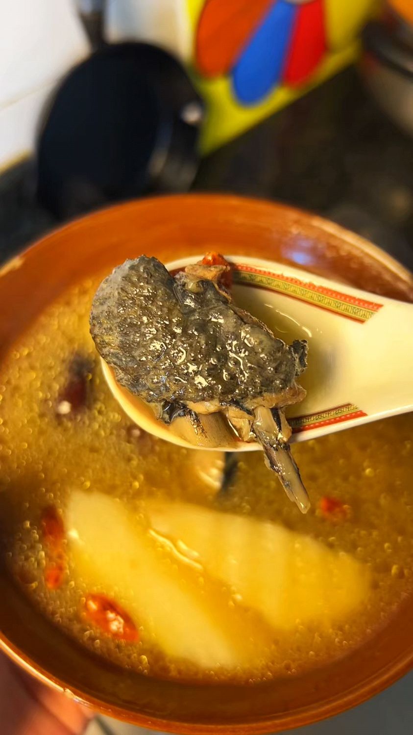 秋冬养生食谱之滋补山药乌鸡汤，补气养血，暖心又暖胃！