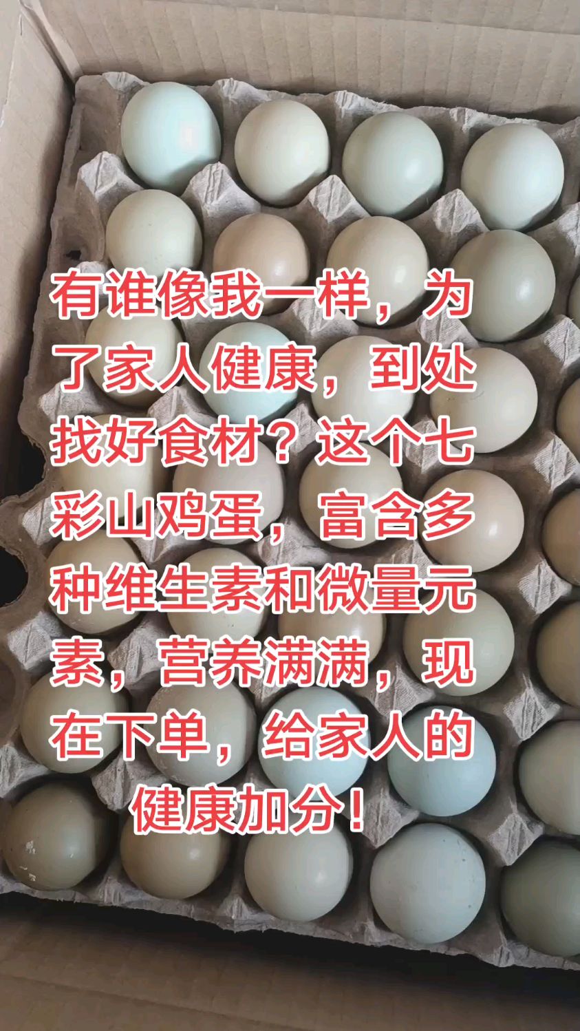 七彩野鸡蛋,一个野鸡蛋营养顶五个普通鸡蛋