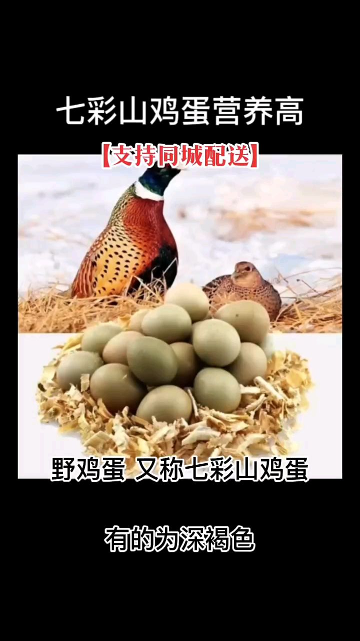 七彩山鸡蛋横空出世,营养界的“扛把子”