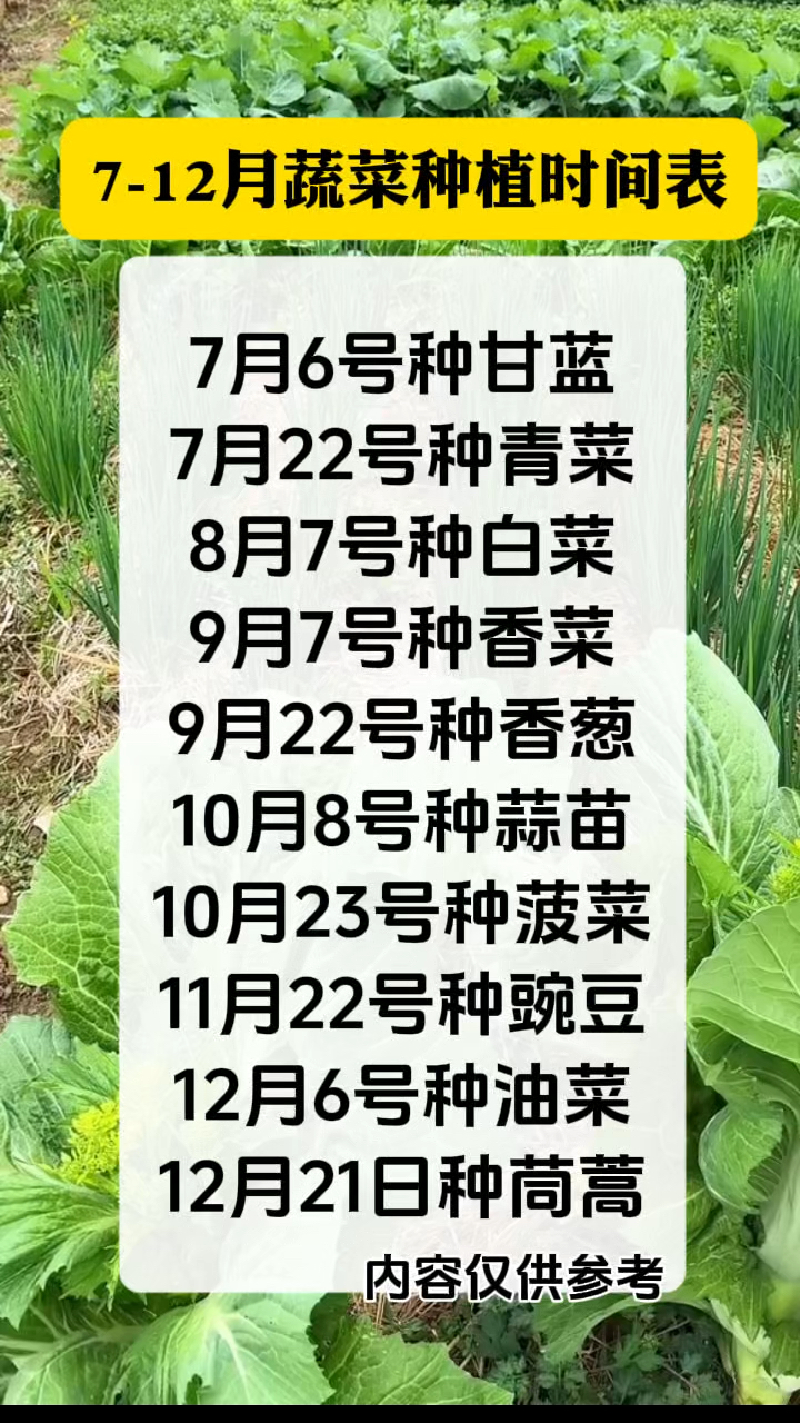 7-12月蔬菜种植时间表