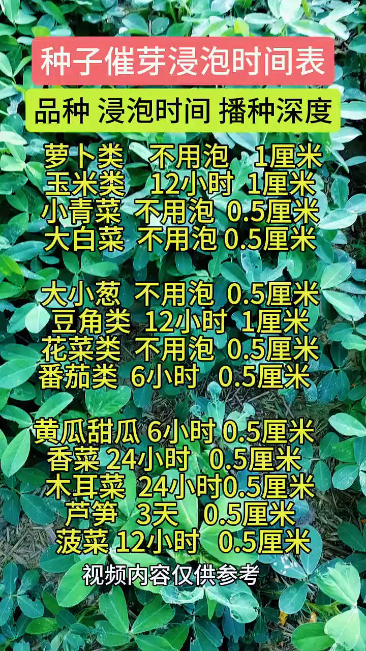 种子催芽浸泡时间表