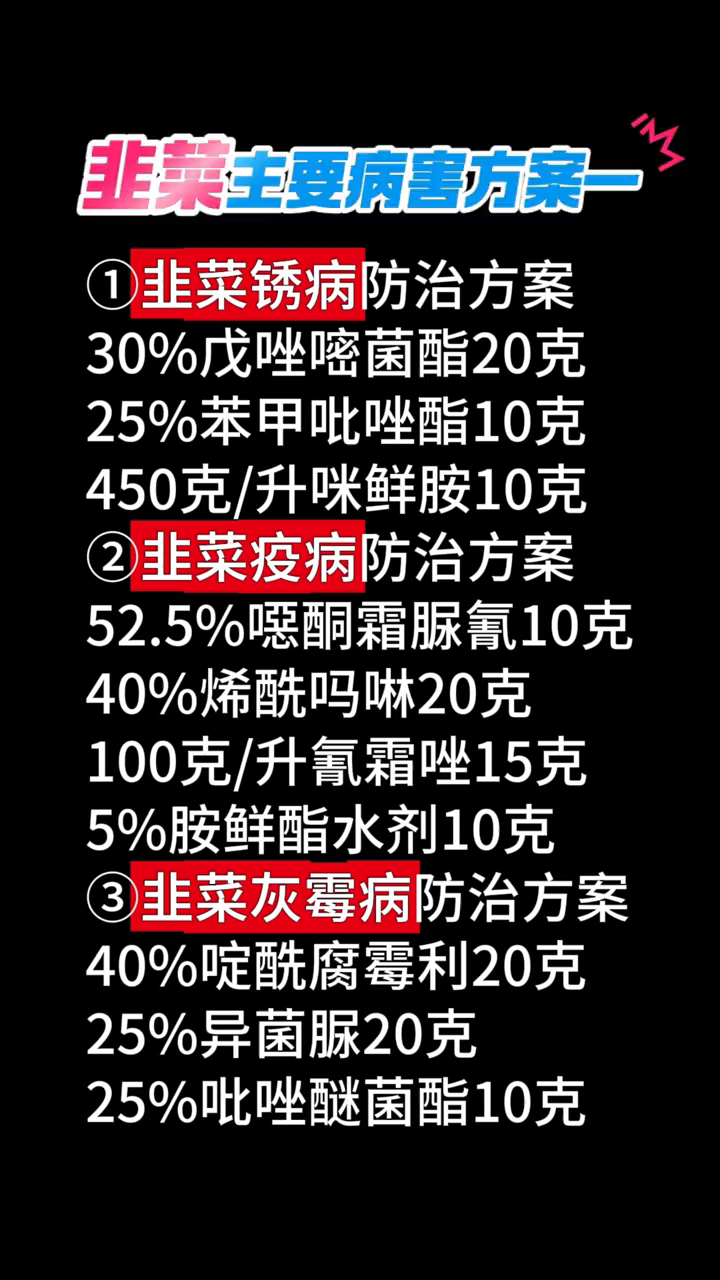 韭菜主要病害方案