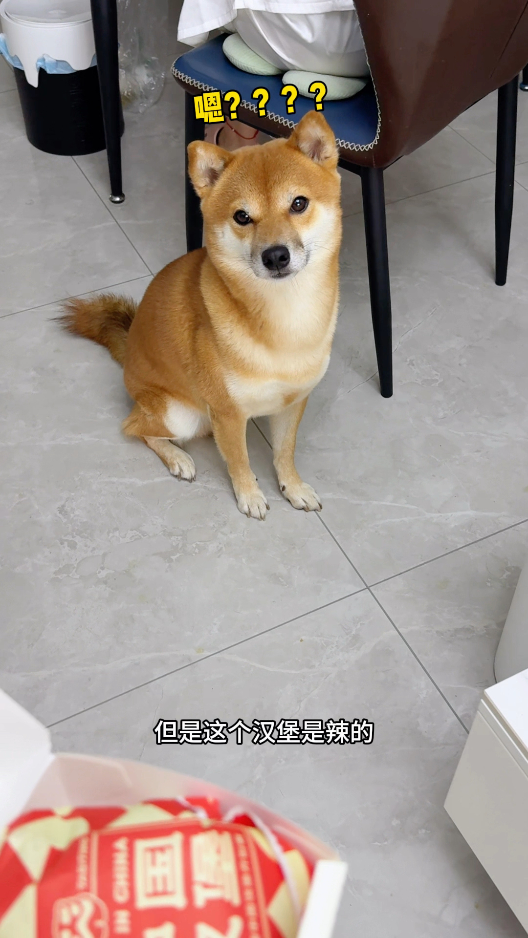 狗子:快把汉堡给我!