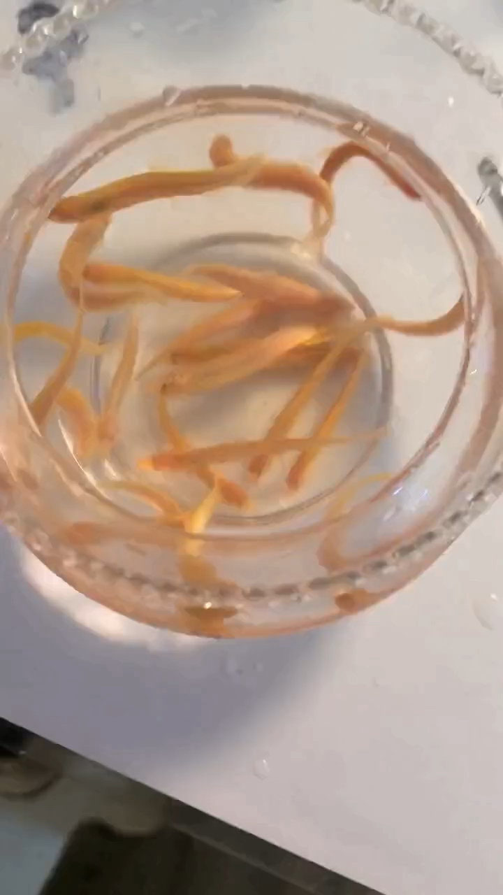 捕捉到黄金泥鳅鱼真是稀罕