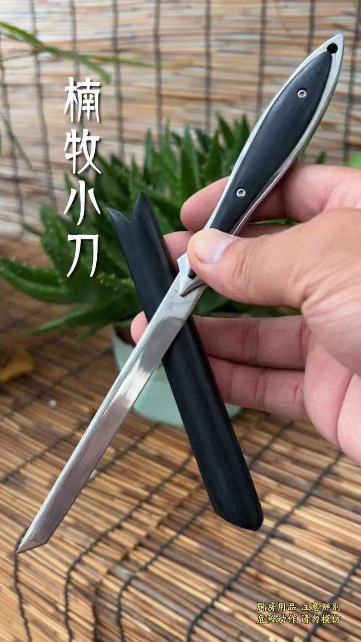 水果刀吃肉刀,分割刀,把玩也不错