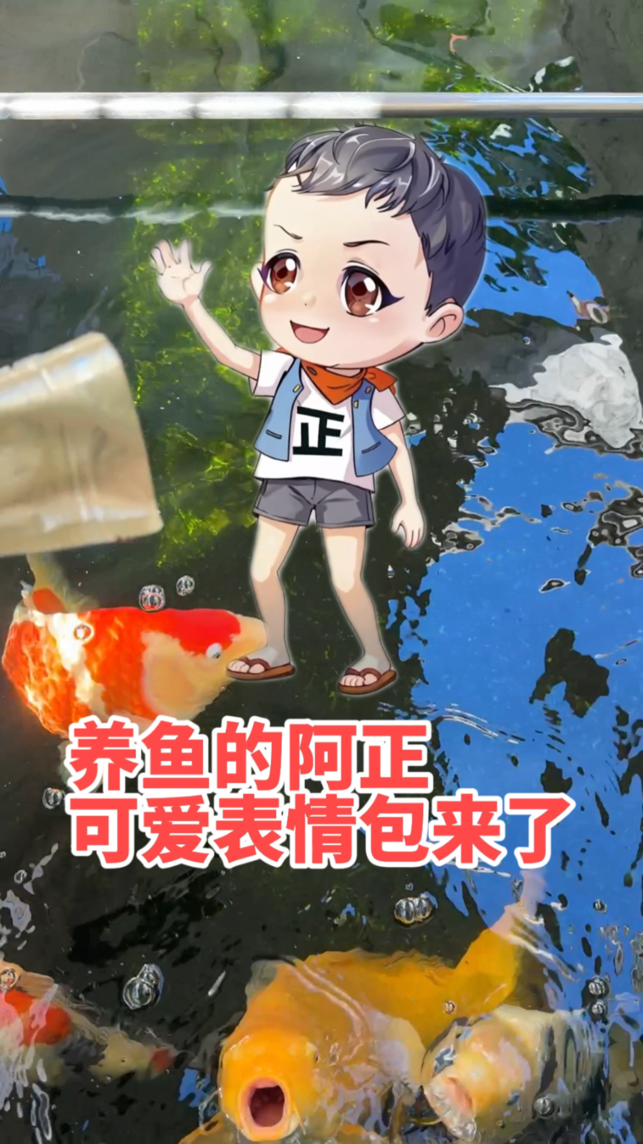养鱼的阿正表情包做好了，希望大家能喜欢