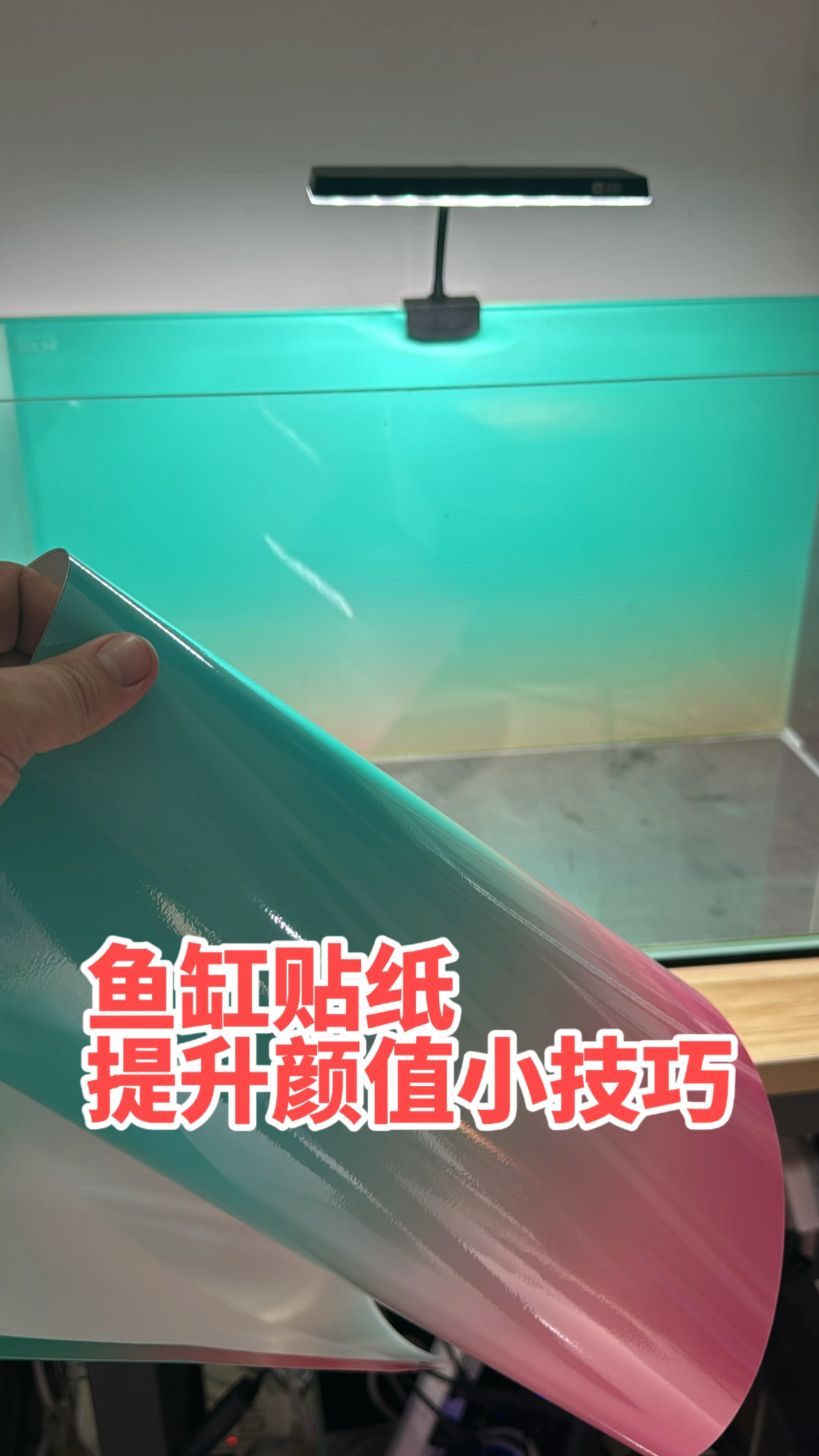 鱼缸造景第一步就是鱼缸贴纸