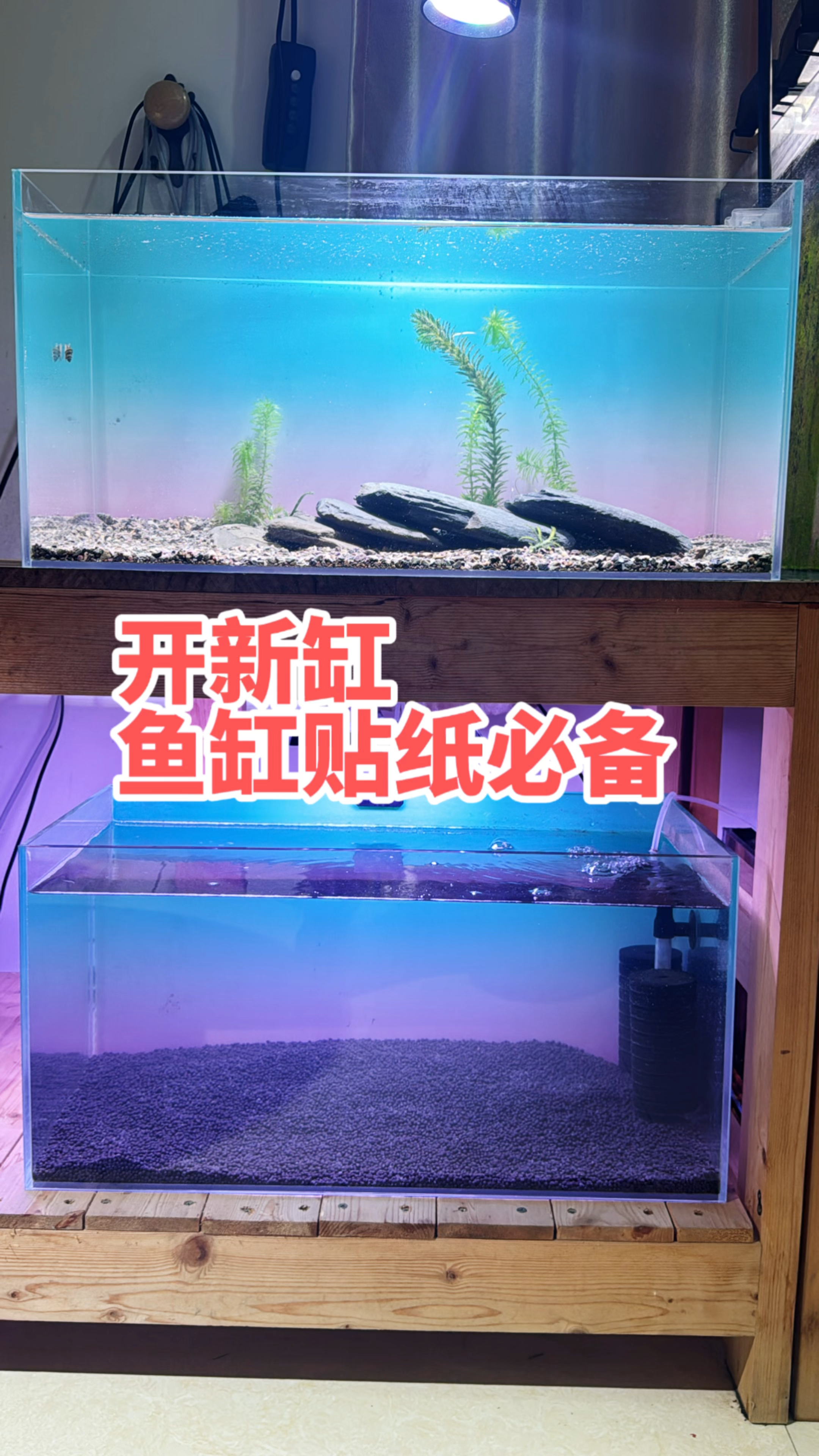 翻缸第一步就是贴鱼缸贴纸,影响养鱼的心情和鱼缸颜值
