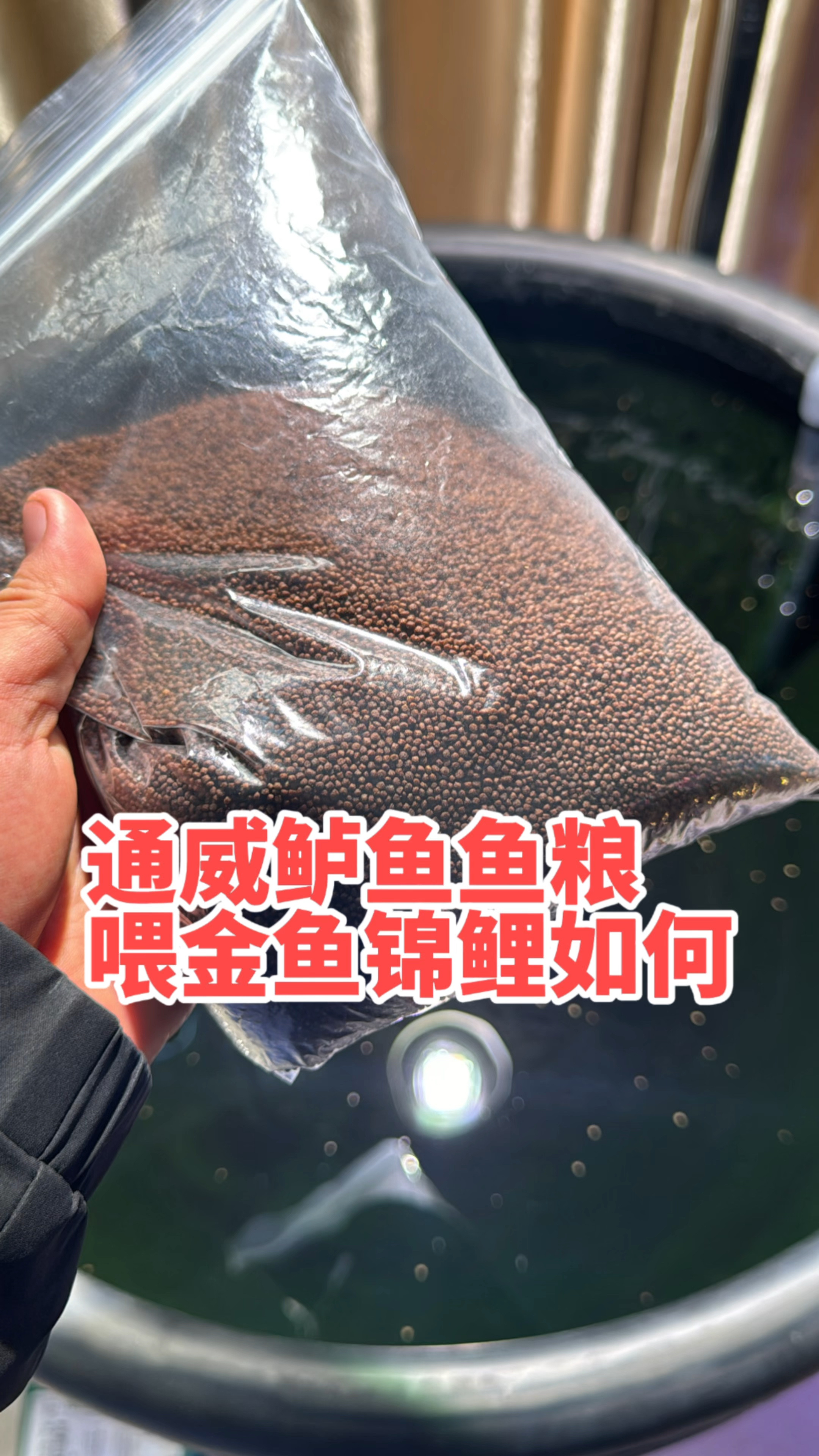 通威鲈鱼鱼粮可以喂锦鲤和金鱼吗？