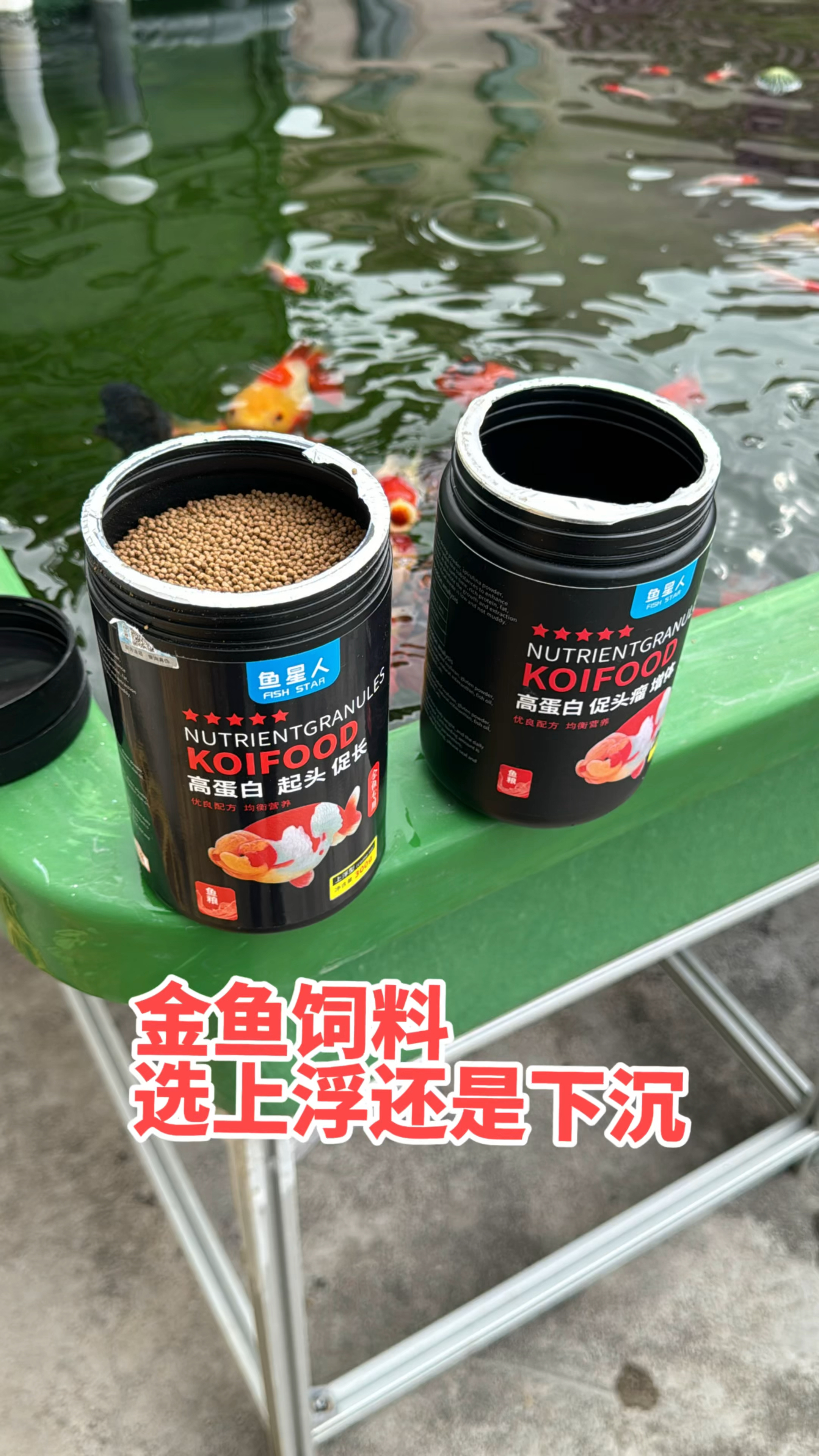 金鱼饲料是选上浮鱼粮还是下沉饲料呢?