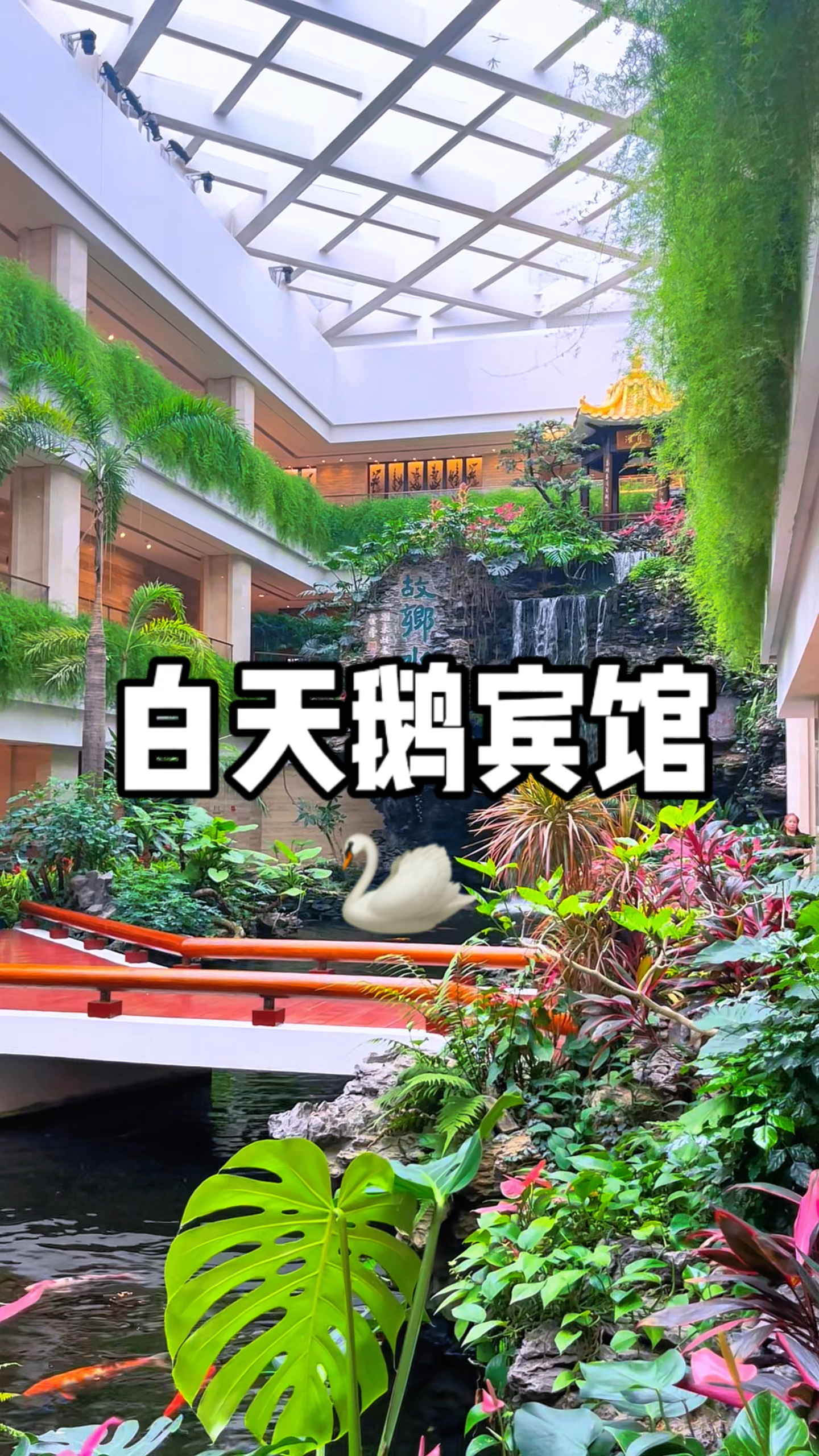 这就是中国第一家五星级酒店,广州白天鹅宾馆,建设费用1.8个亿