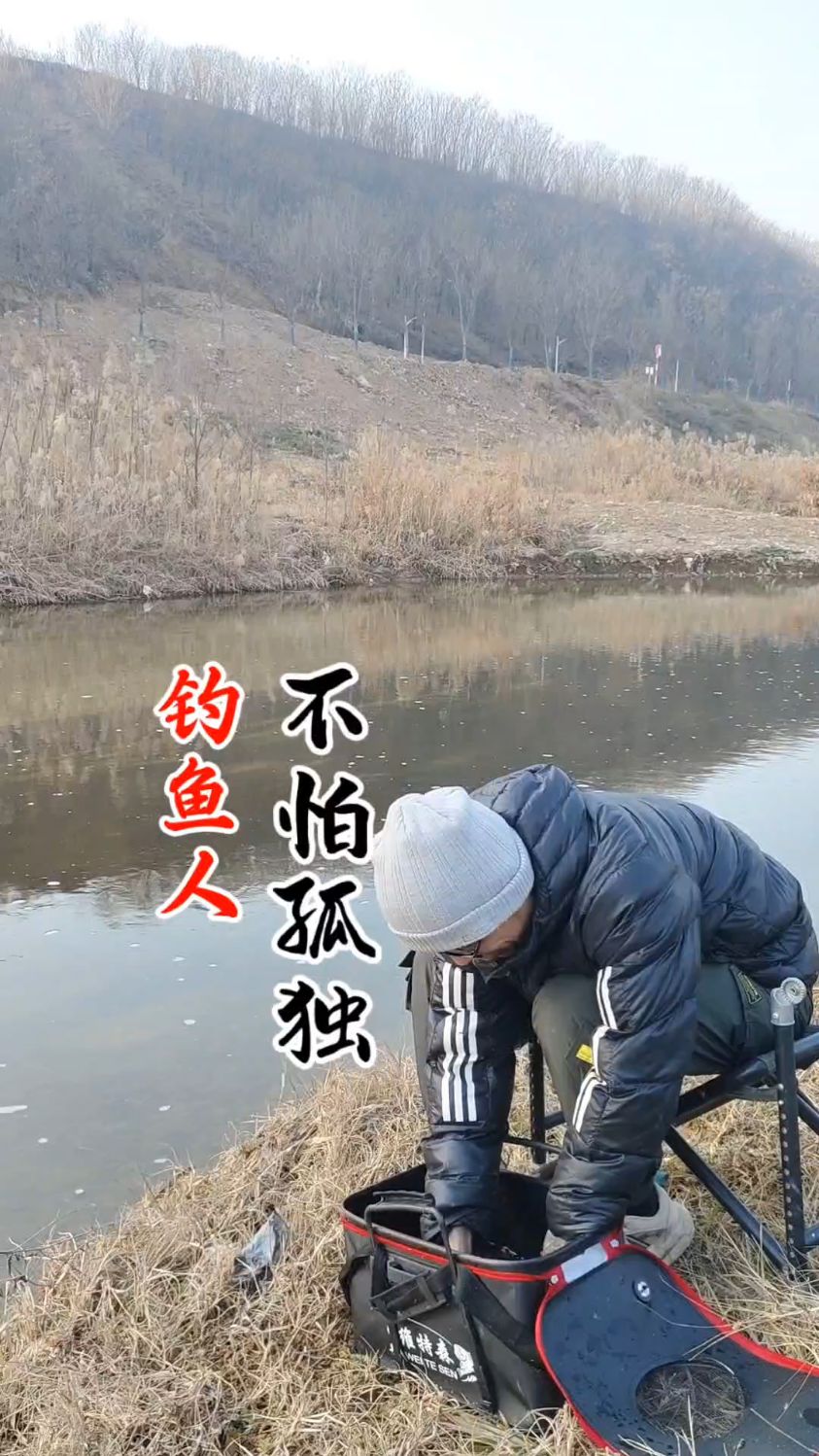 钓鱼人不怕孤独[2025]