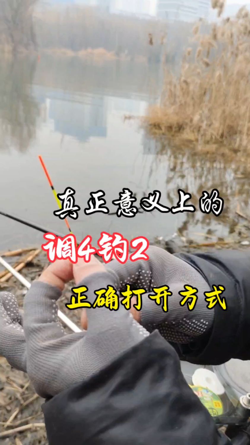 调4钓2,台钓经典的调钓方式,一定要注意调整