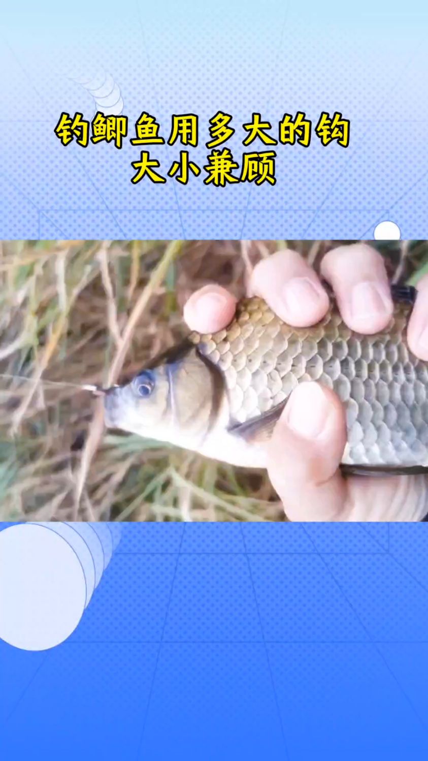野钓鲫鱼,用多大的鱼钩,大小通杀