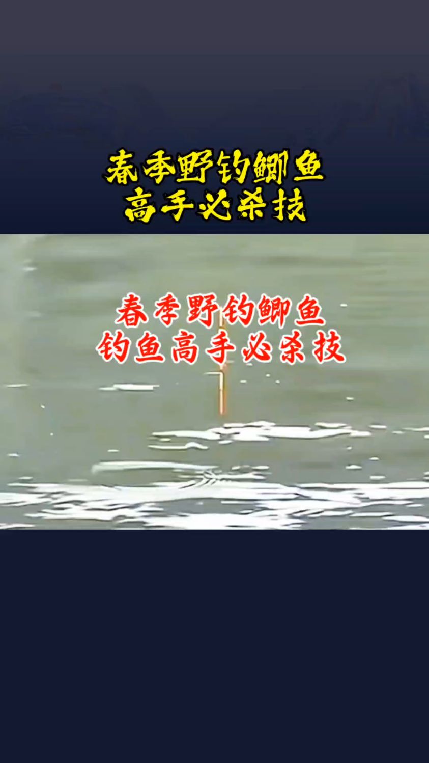 春季野钓鲫鱼,钓鱼高手必杀技
