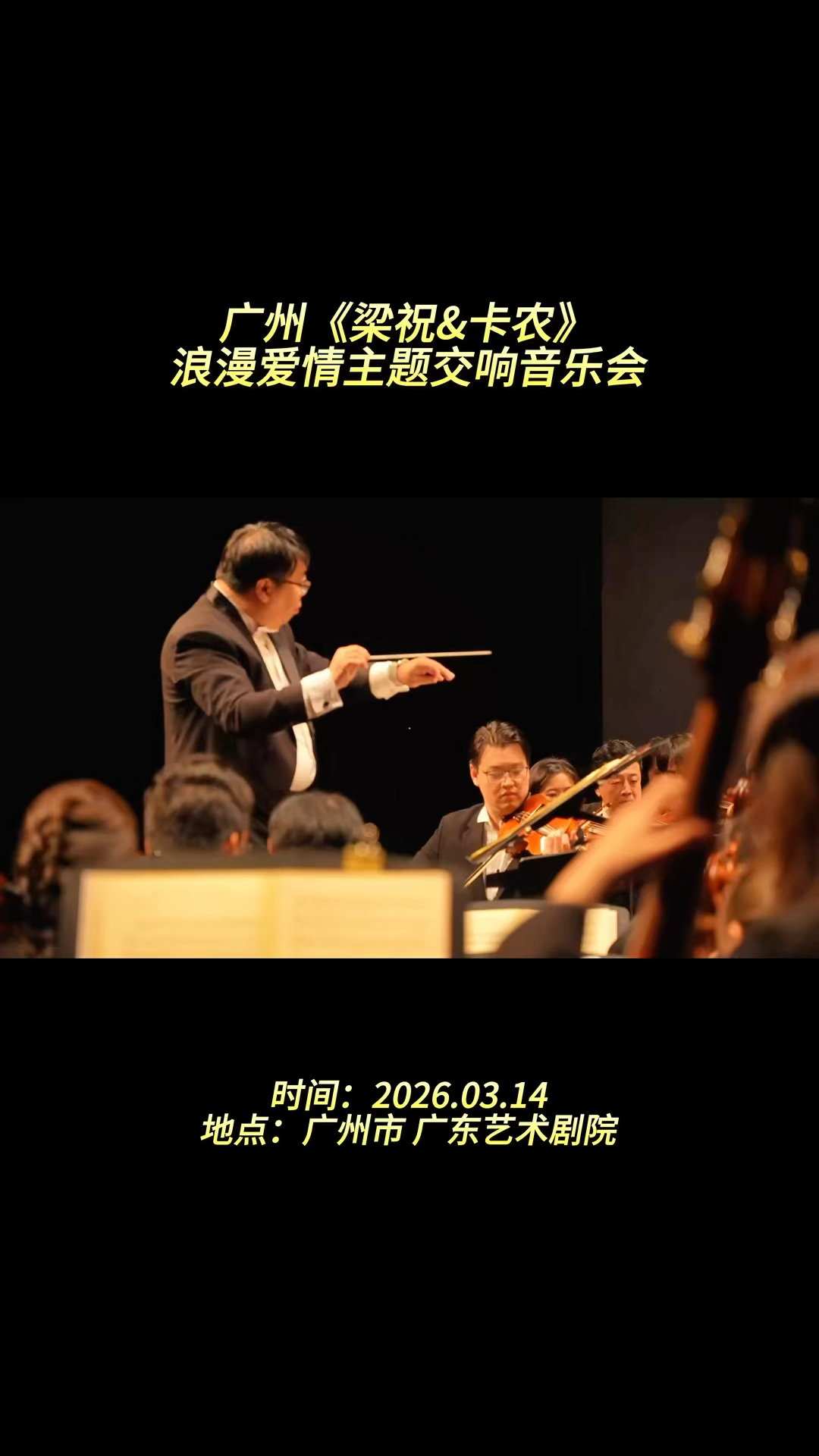 梁祝卡农 音乐会