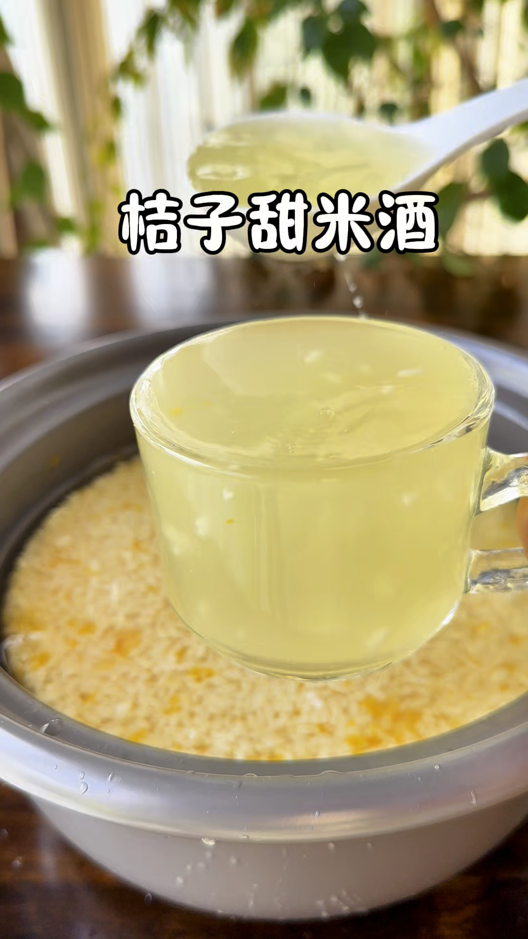 这是一个特别好的老方法,把橘子放电饭锅里蒸一蒸,能做出甜米酒