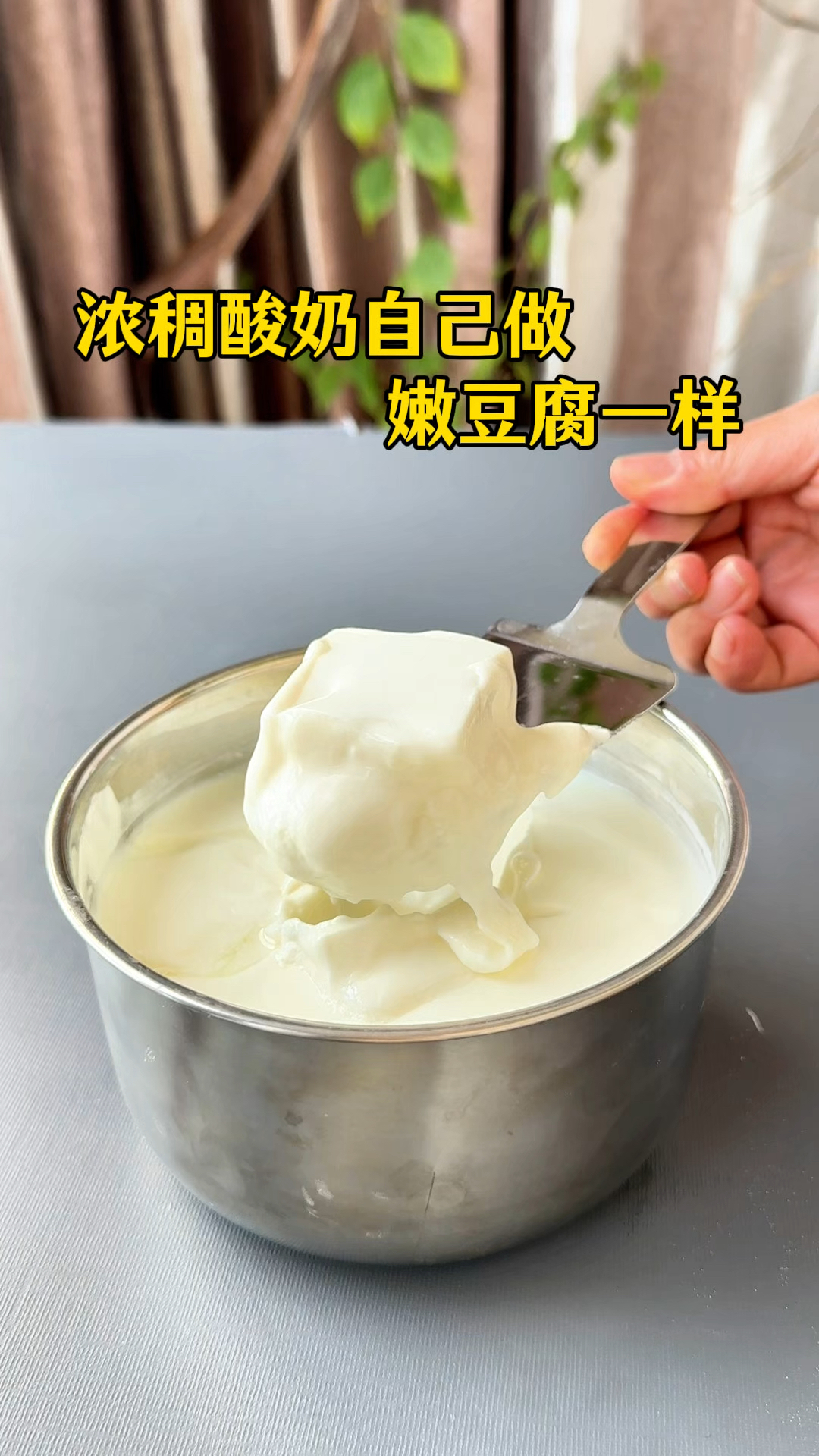 像嫩豆腐一样的无糖酸奶被我做出来了,超级浓厚,方法还简单啊!
