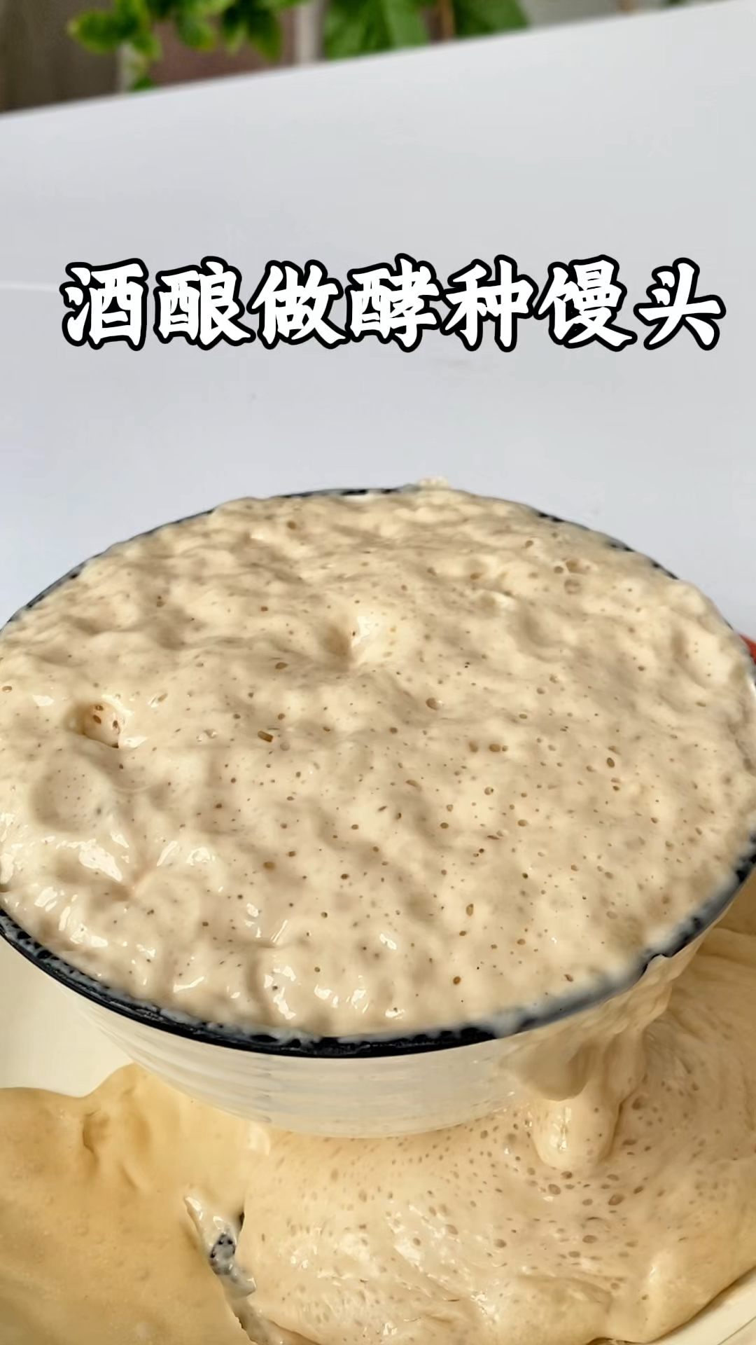 不用发酵粉,用酒酿蒸出的馒头包子等自带清甜酒香