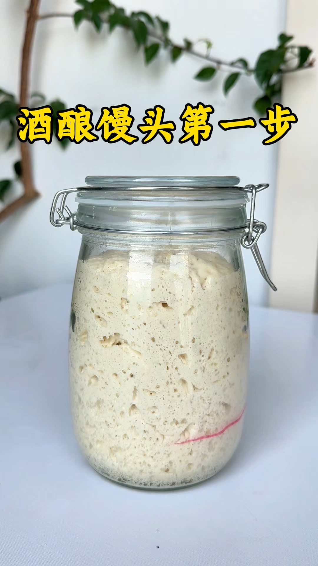 酒酿馒头要先做酒酿引子，夏天温度高，很快就能发酵好