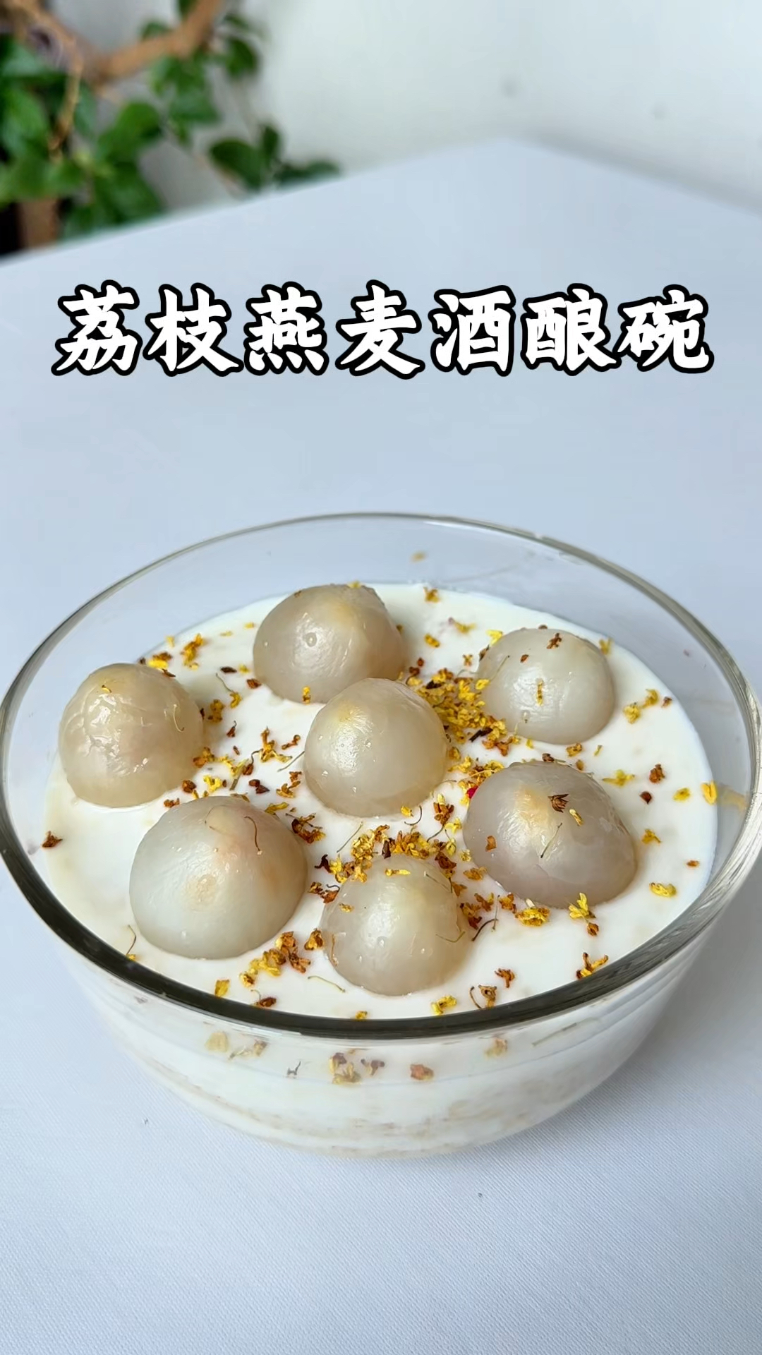 荔枝酒酿燕麦酸奶融合的特别好,质地糯糯的,强烈推荐给大家