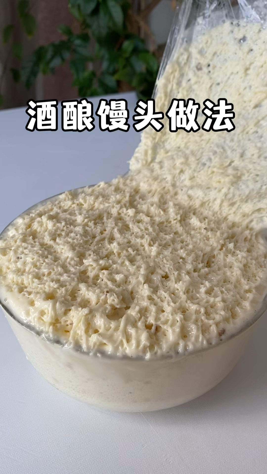 酒酿做馒头,就得先做酒酿酵种,适合任何面食,不需要碱和小苏打