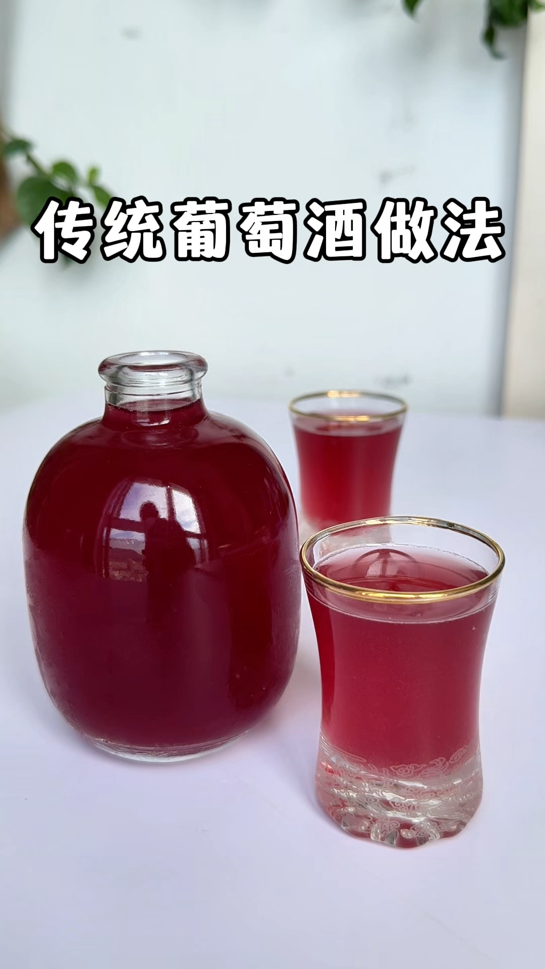 葡萄酒改进版的做法，时间短口感好，酿出来更好喝！