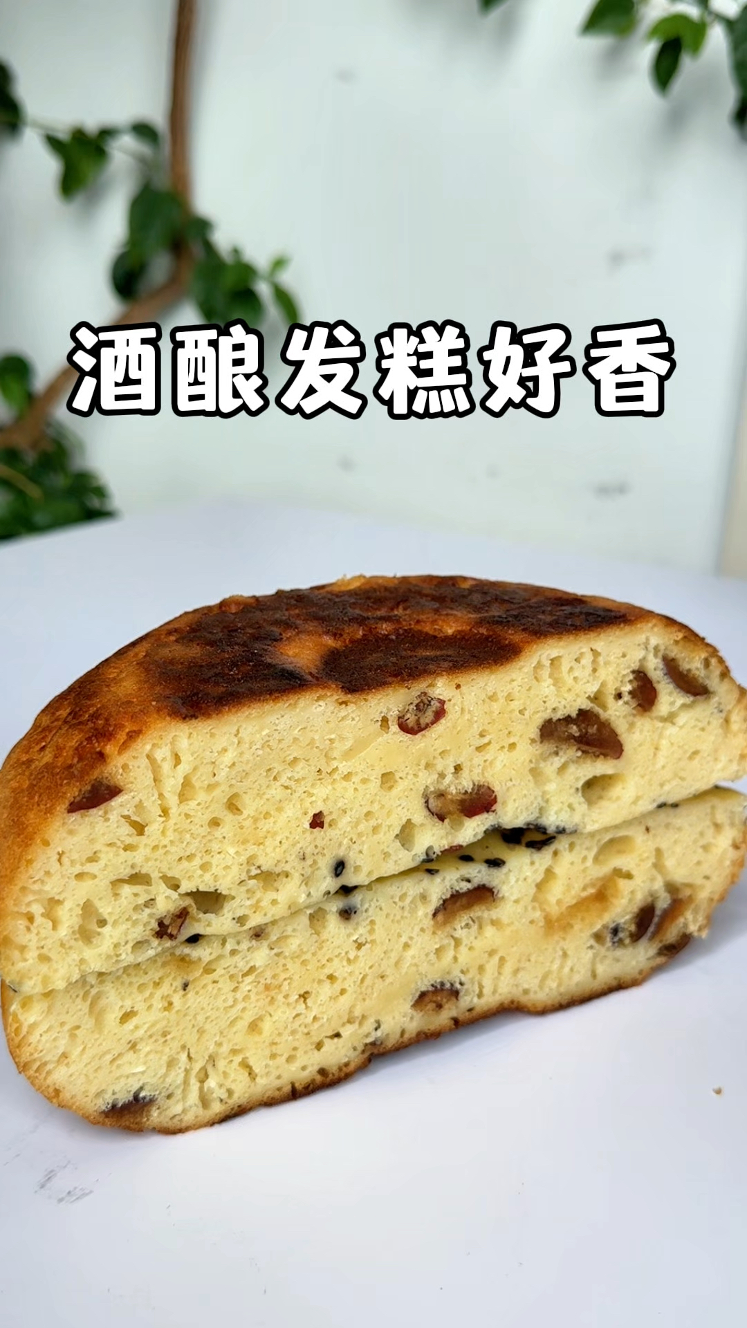 电饭锅做酒酿发糕,全程手不沾面,方便又简单,还蓬松暄软