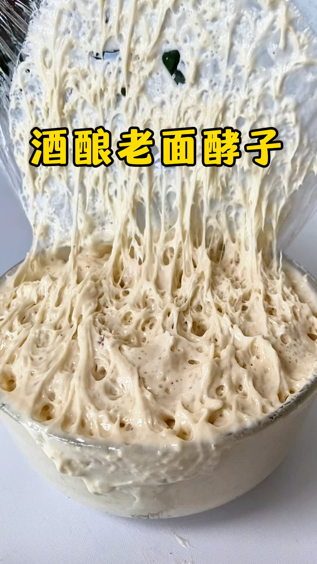 不用发酵粉,用酒酿做出活性满满的老面酵种,蒸出来馒头非常好吃