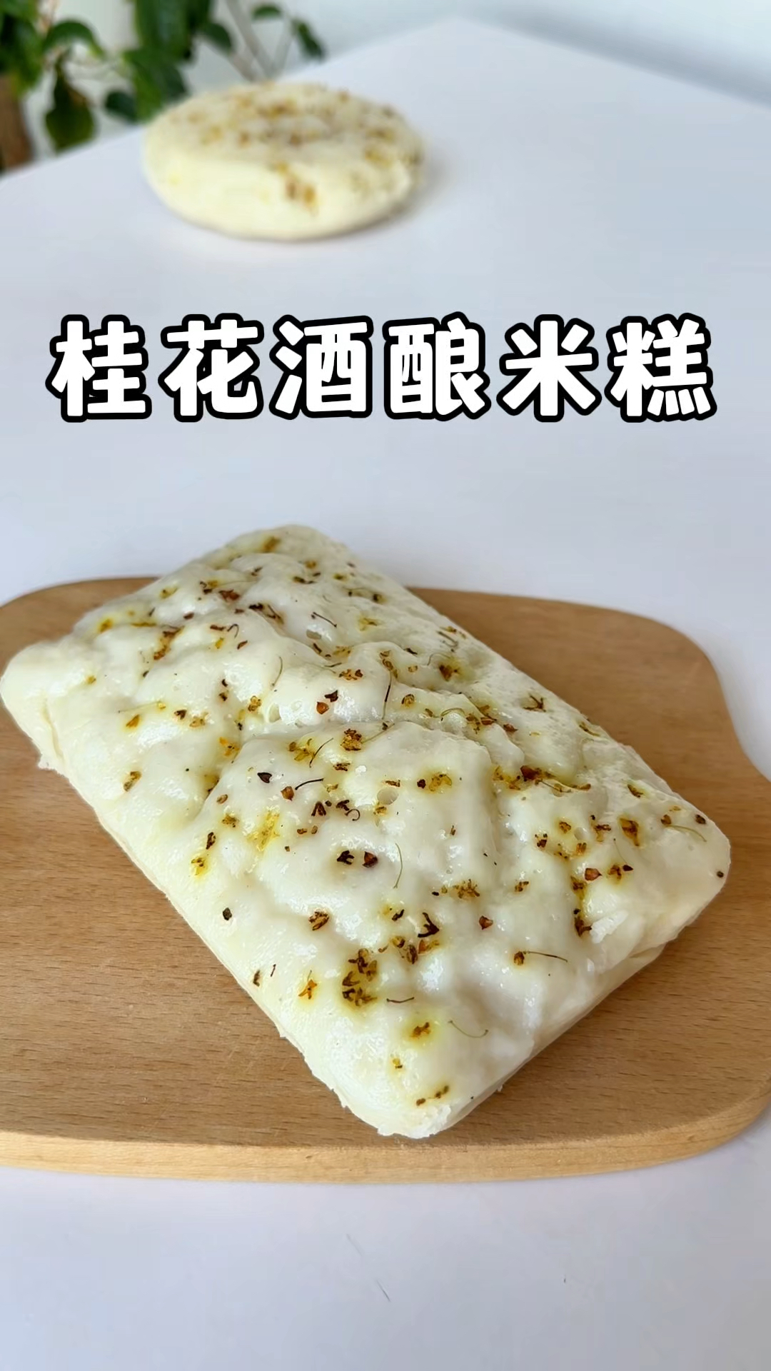 用酒酿和大米做发糕,不用加面粉,口感绵软又有弹性