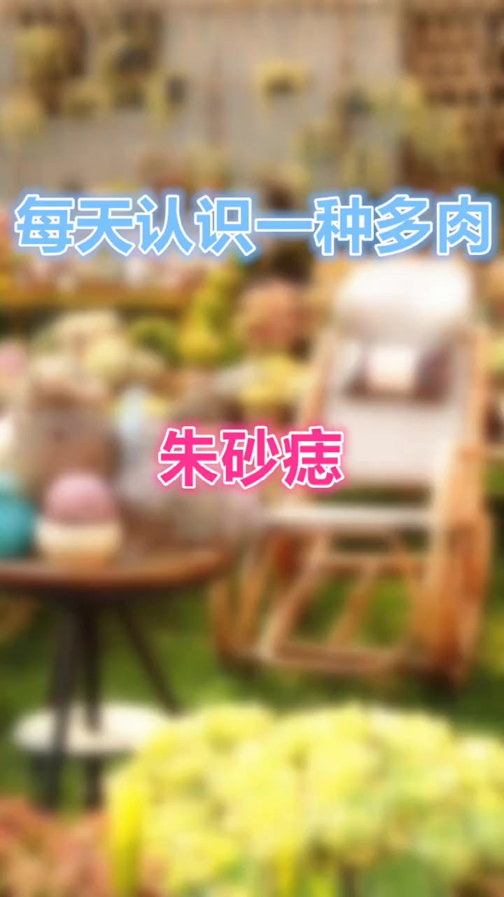 羽安讲多肉：朱砂痣