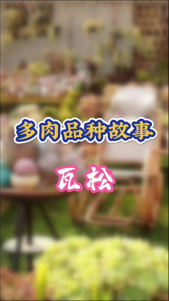 你知道你家附近有哪些原生多肉植物吗?