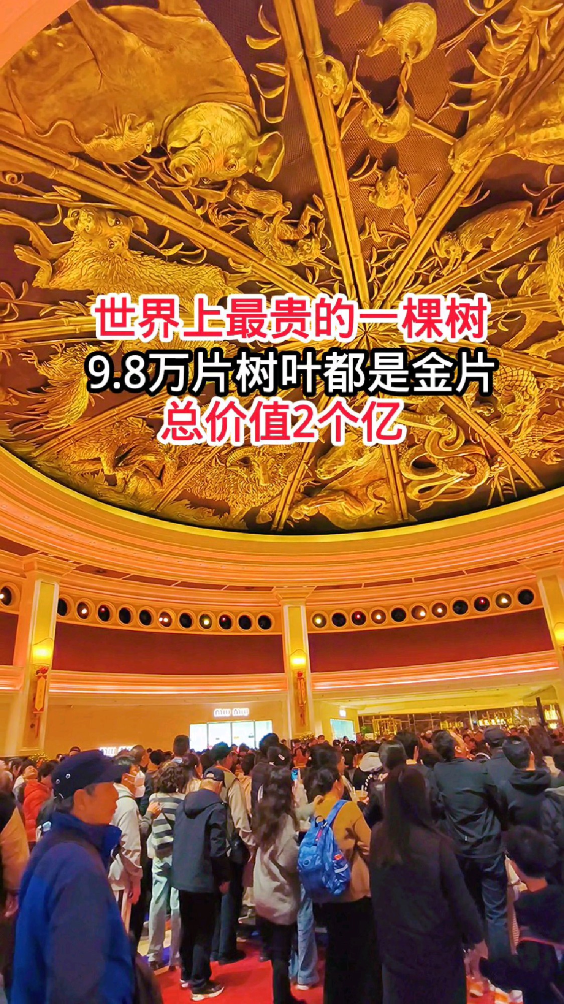 他是世界赌王，澳门永利创始人，巨资打造的发财树，看看有多震撼