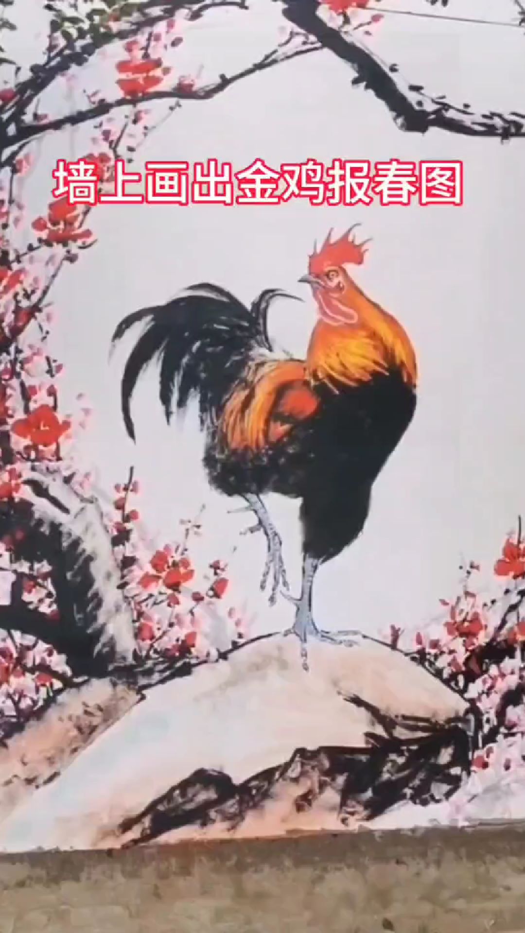 墙上画出金鸡报春图