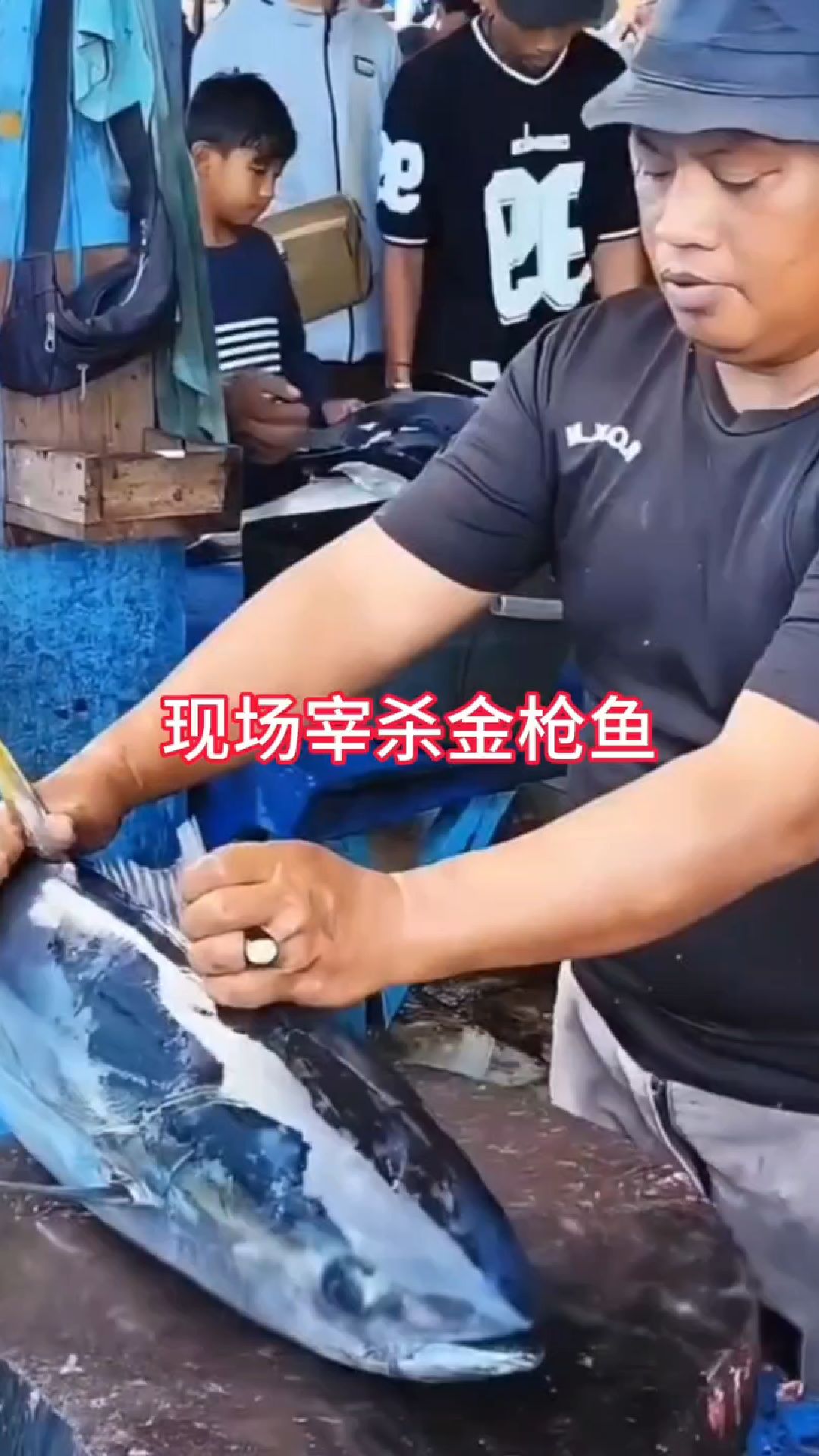 国外现场宰杀金枪鱼的真实画面杀鱼技术不错