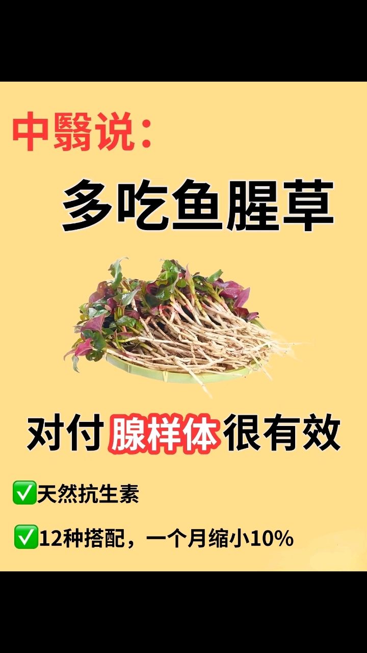 鱼腥草怎么吃?姐妹们学起来
