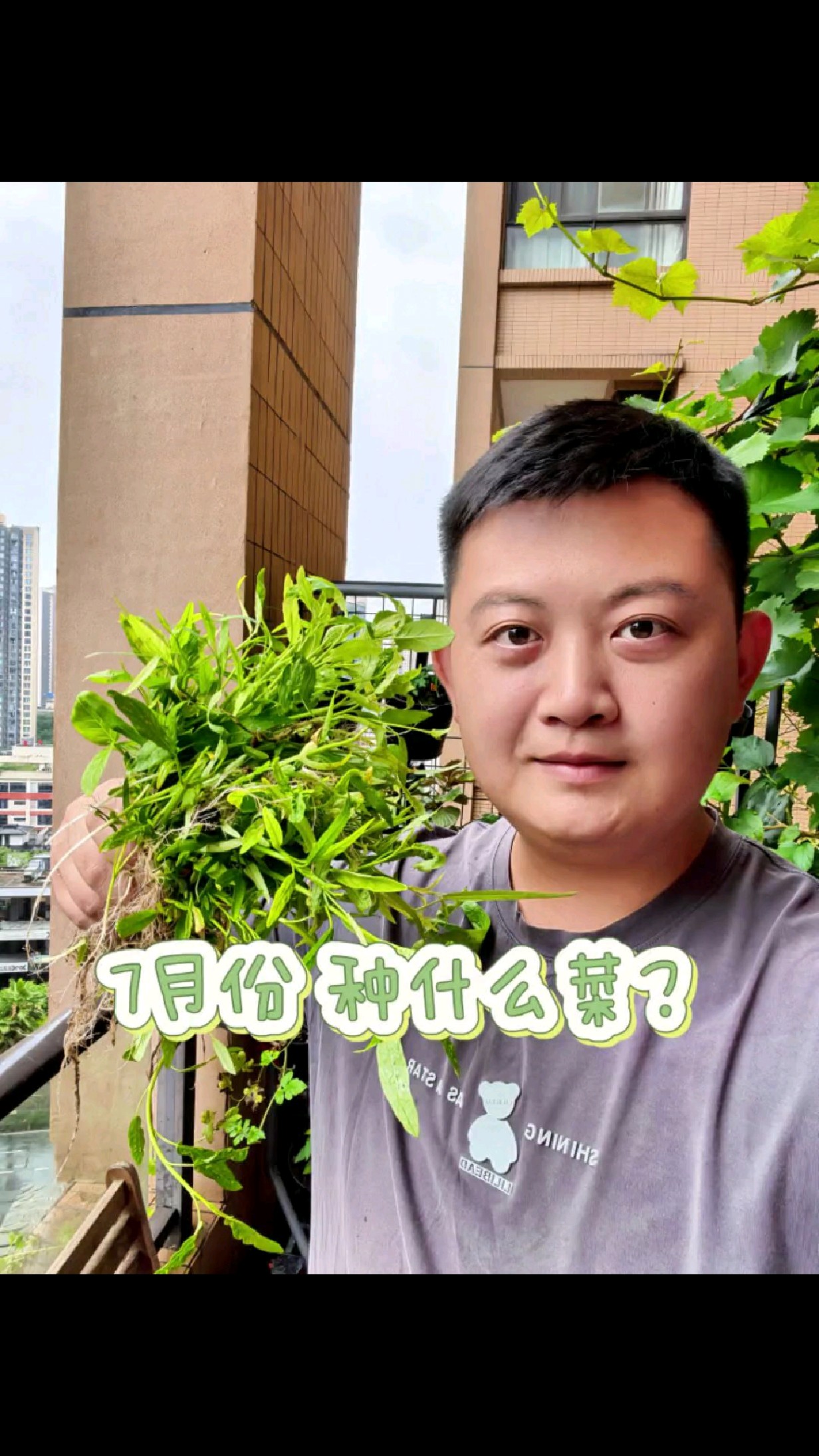 7月天热菜难种 4种易种蔬菜推荐