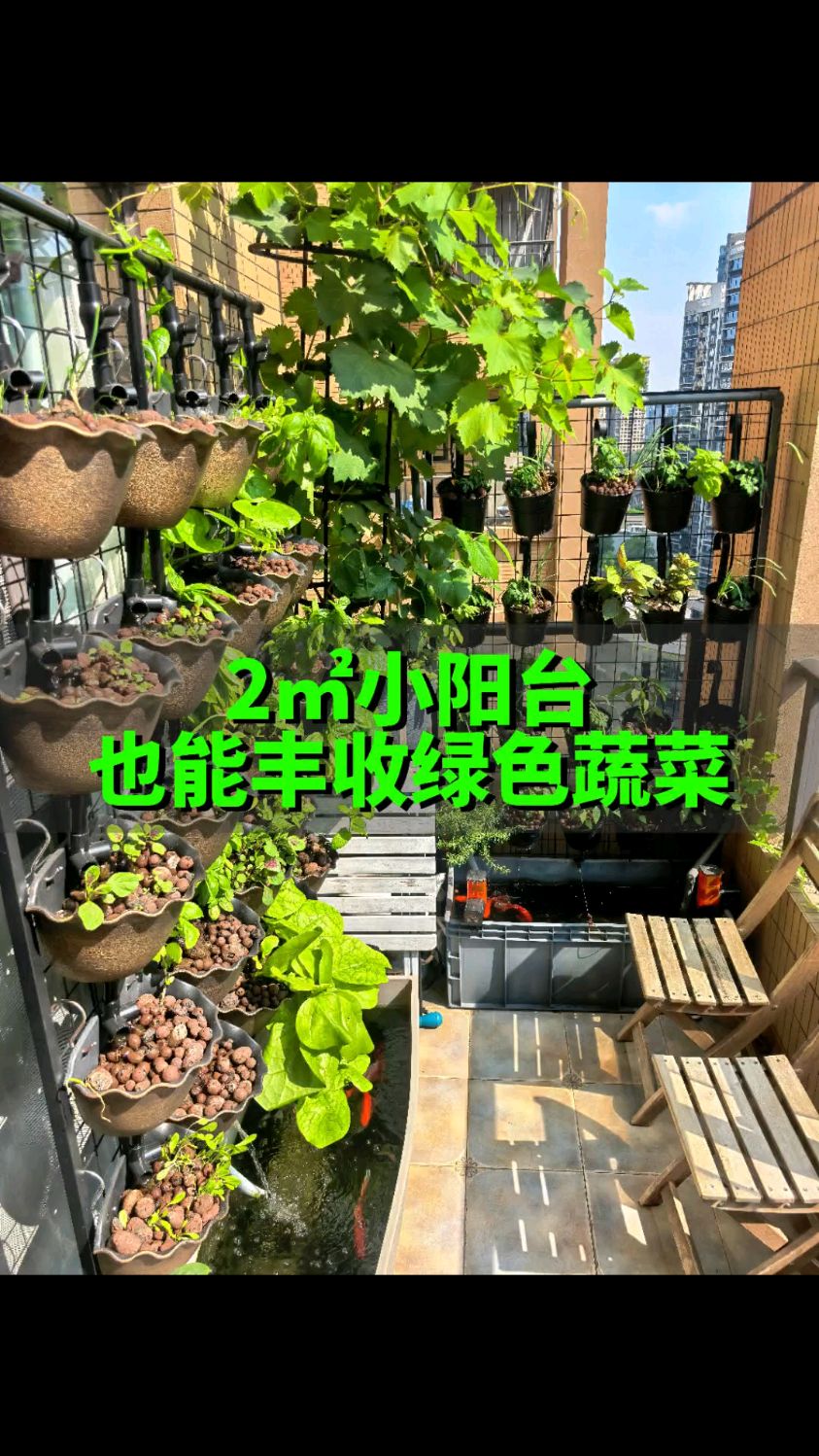 打造立体阳台菜园 小空间大利用