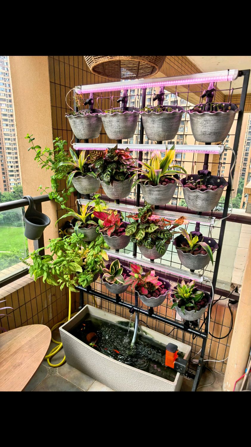 DIY入户绿植养鱼墙 回家心里美美的