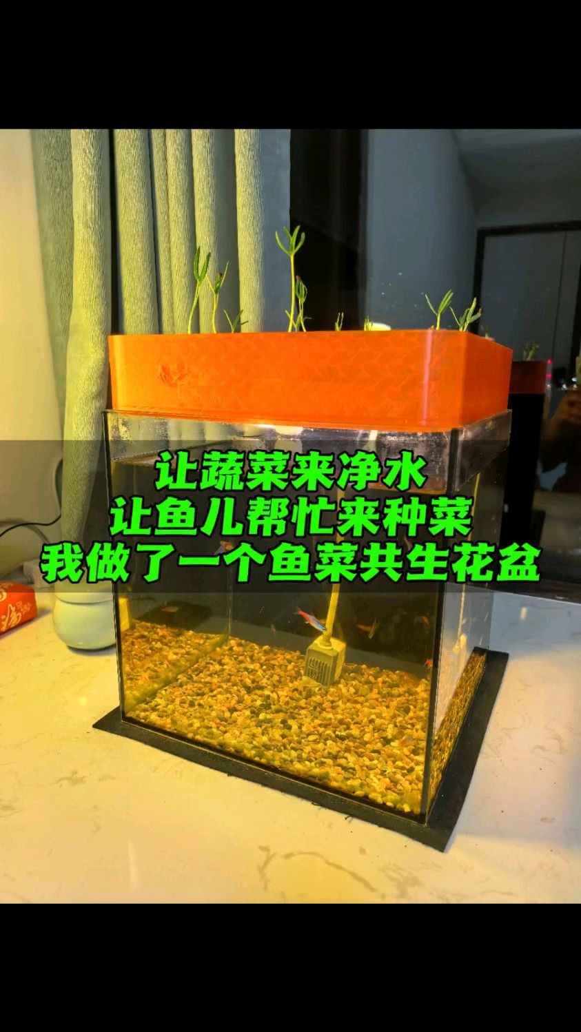 3D打印鱼菜共生花盆 让鱼儿种菜 菜来净水
