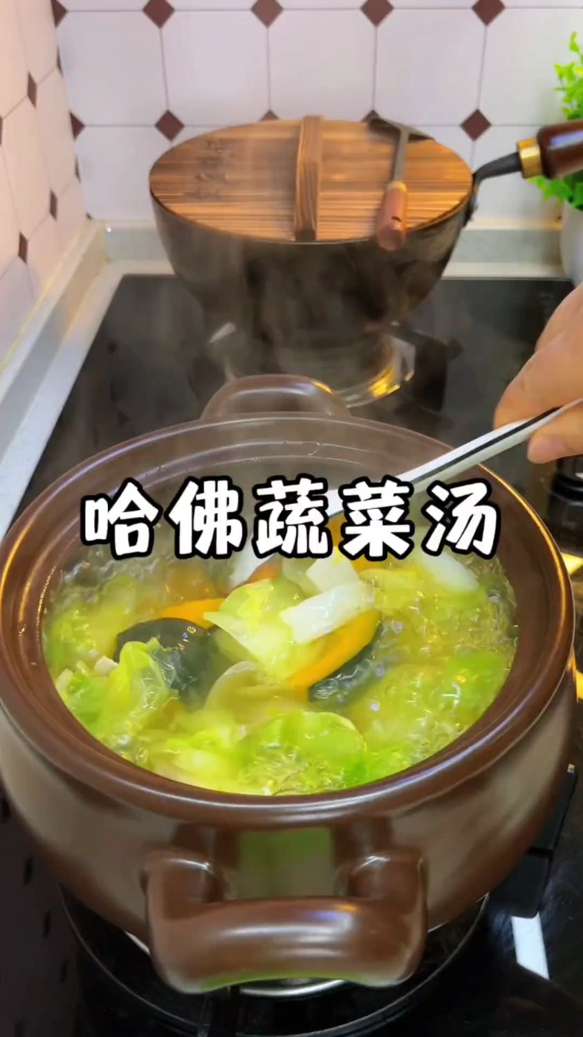 哈佛蔬菜汤！看似简单，好处多多，喝几次就知道它的厉害了