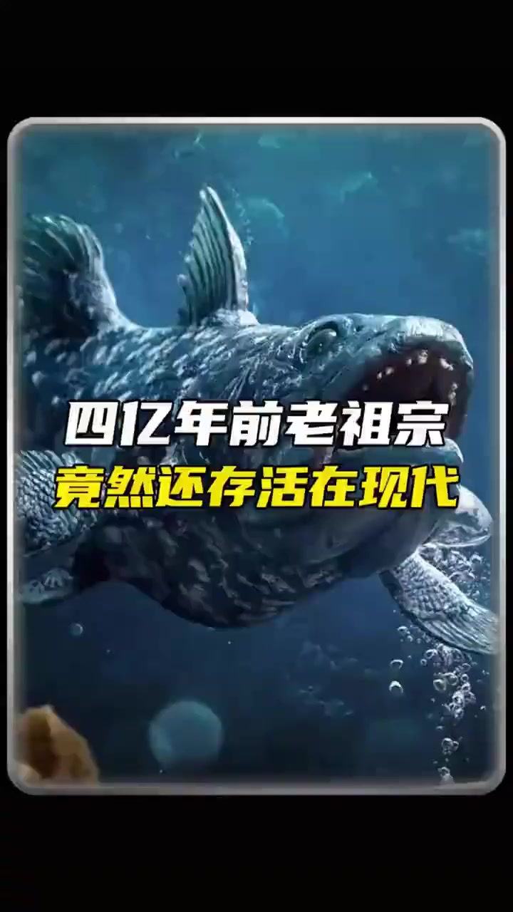 腔棘鱼：跨越亿年的生命奇迹！