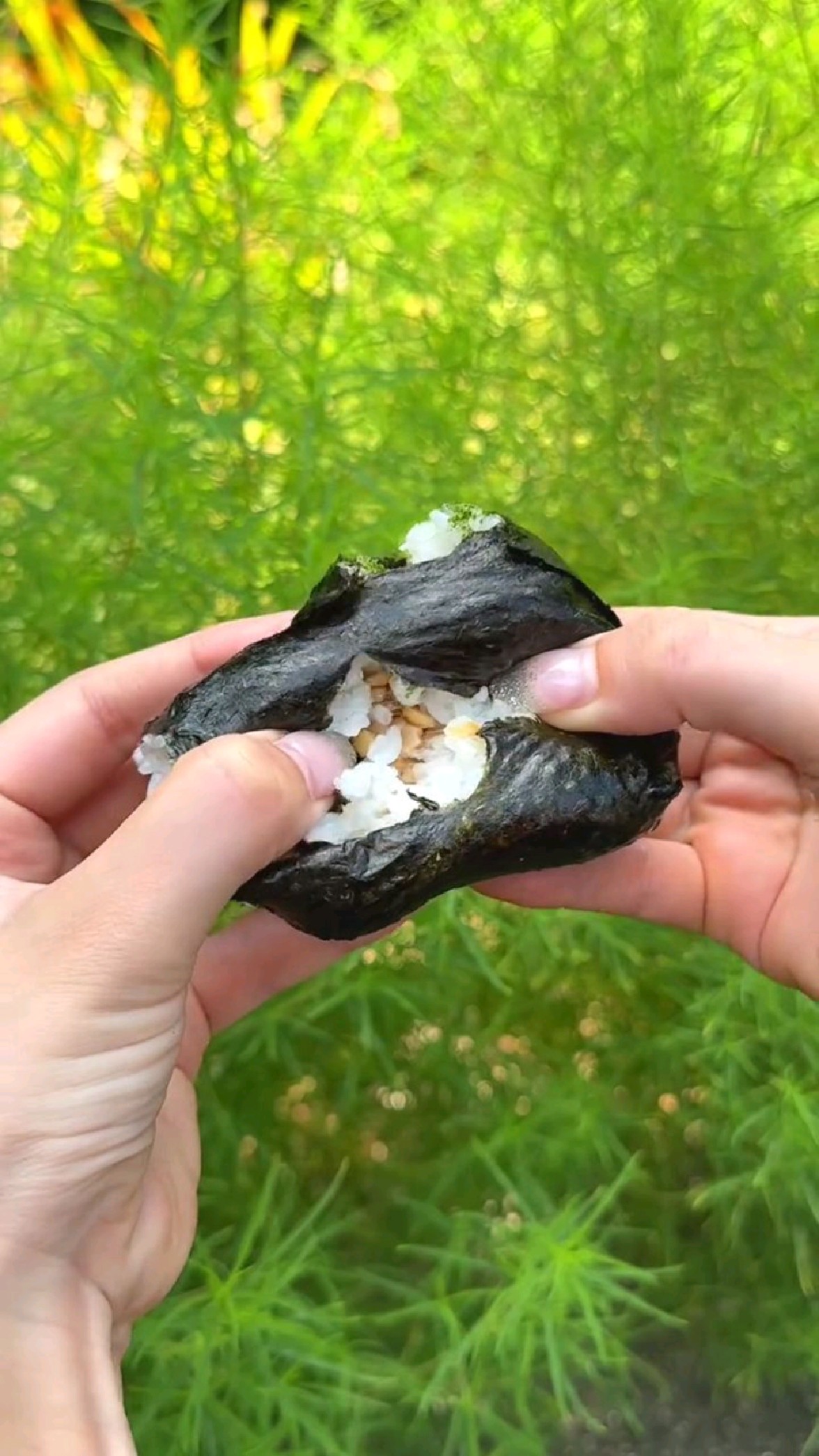88岁老奶奶制作手工饭团