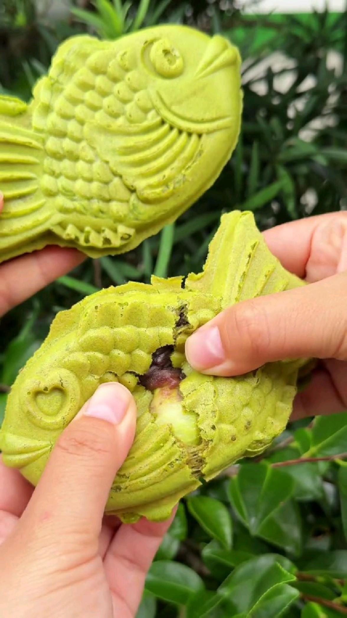 抹茶红豆团子鲷鱼烧