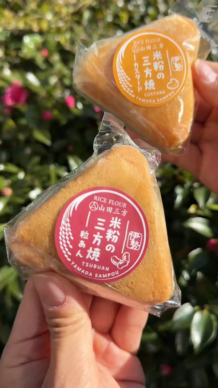 软糯星人集合！藏在山间的三角形饭团蛋糕，一口咬下全是料！