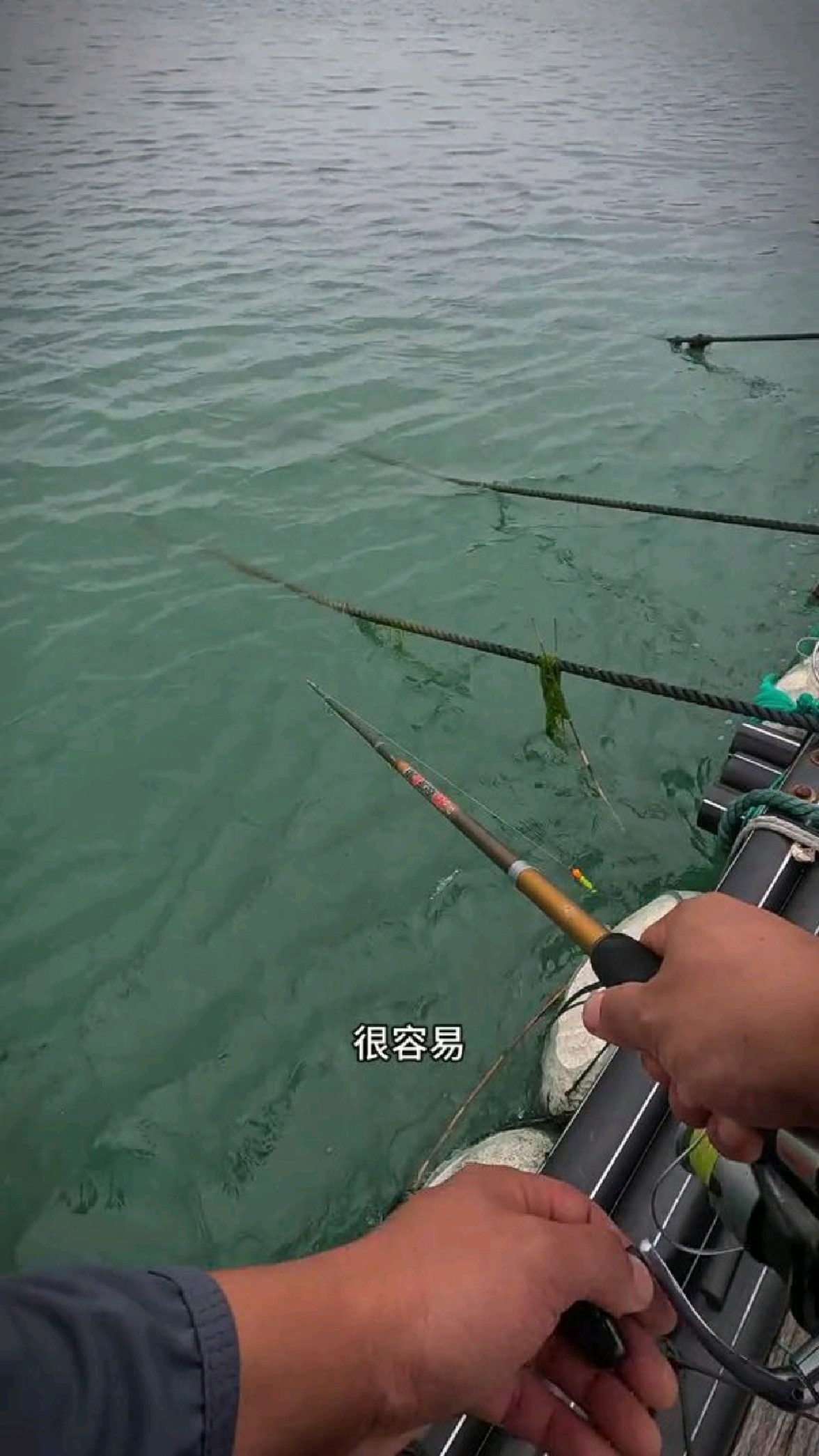 钓鲈鱼很简单，2米深随流漂就行