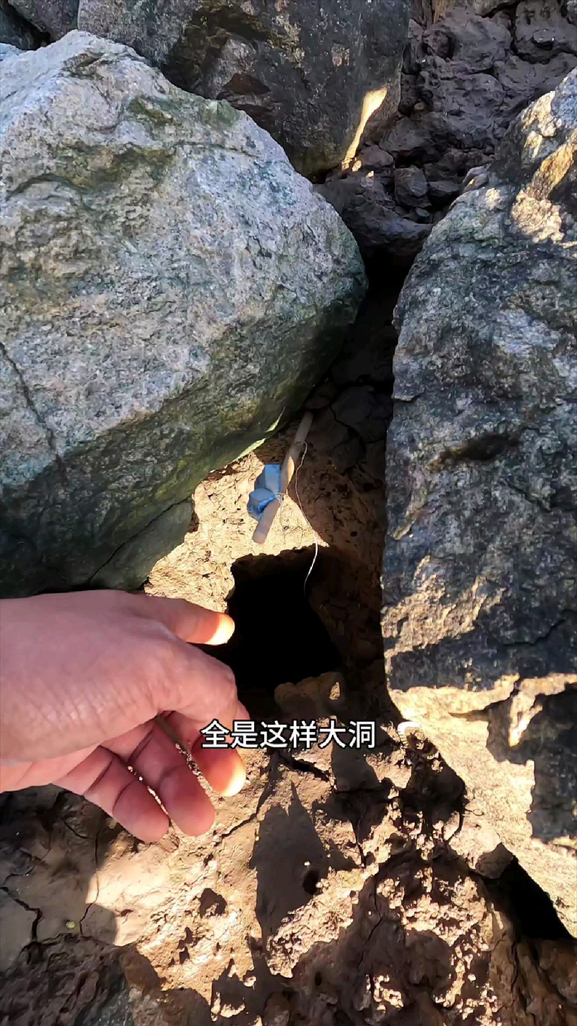 这里全是大洞，放懒钩，果然中大蟹虎