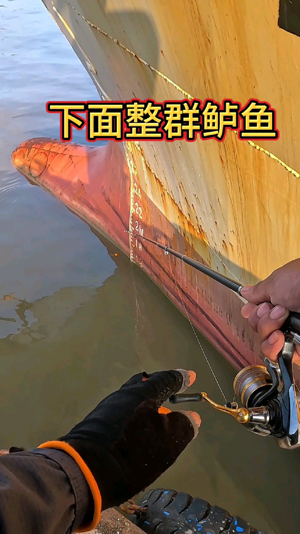 下面鲈鱼整群,不过还是钓蟹虎好玩
