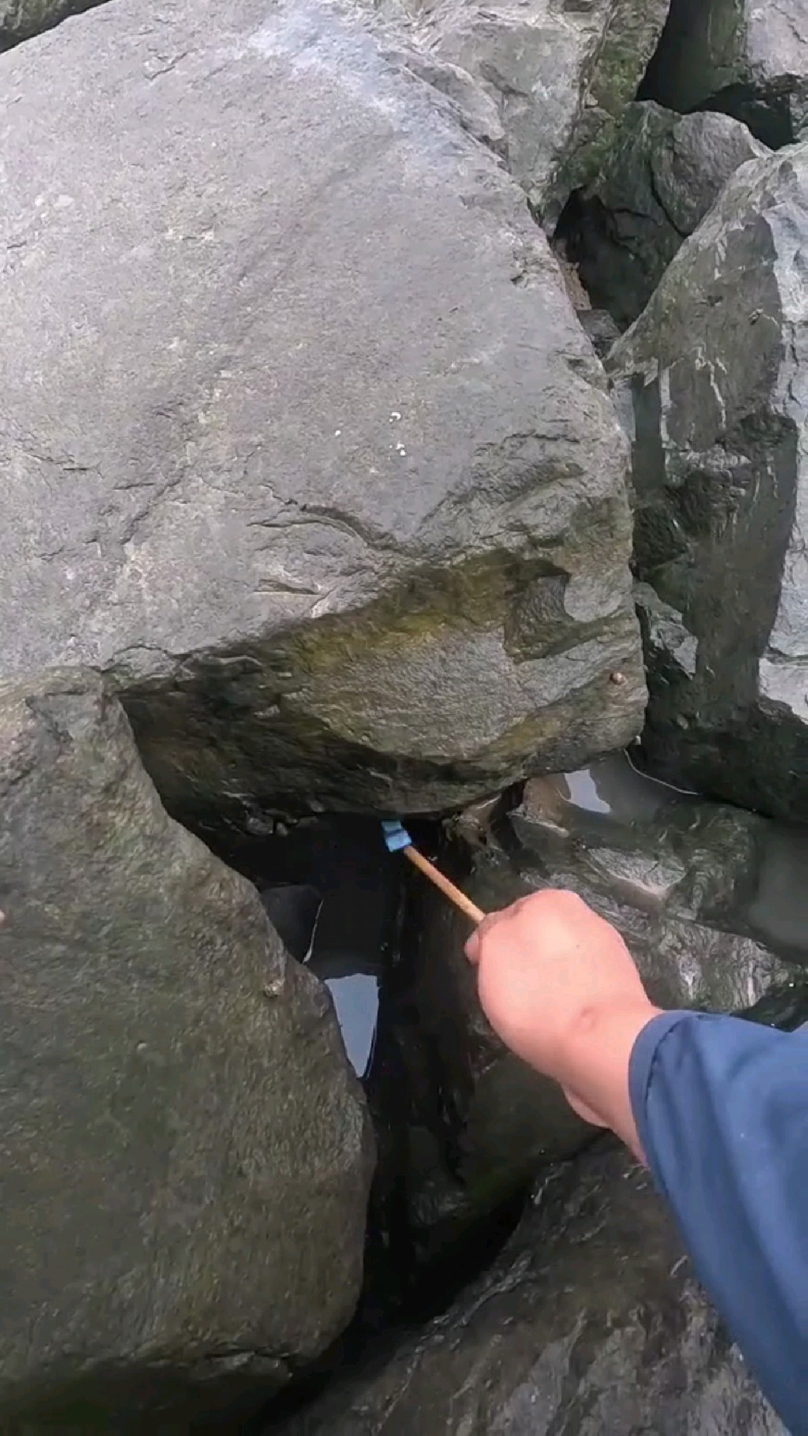边找边钓，其实各种洞里都有蟹虎鱼